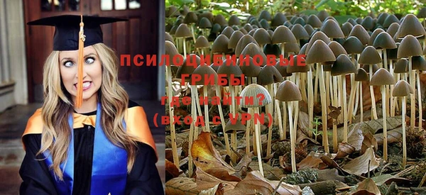 герыч Алексеевка