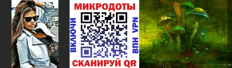 Псилоцибиновые грибы Cubensis  как найти   сайты даркнета как зайти  Котельнич 