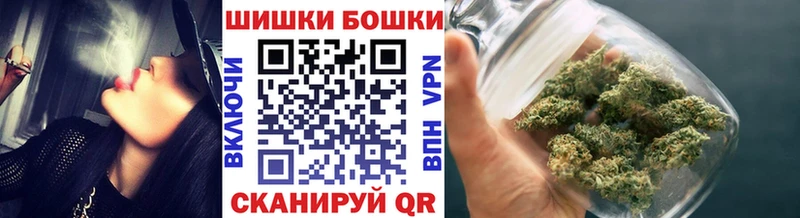 Бошки марихуана семена  наркошоп  Котельнич 